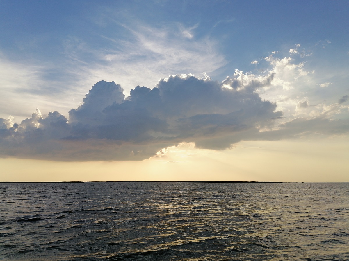 Заповедные зоны и дельфины у берегов: пляжи Бердянска, о которых не пишут в путеводителях